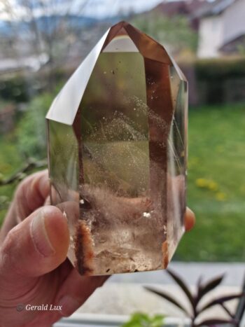 Natur Citrin Phantom – Bild 5